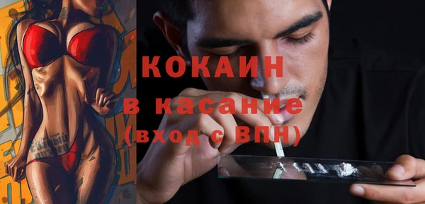 гидра Каменногорск
