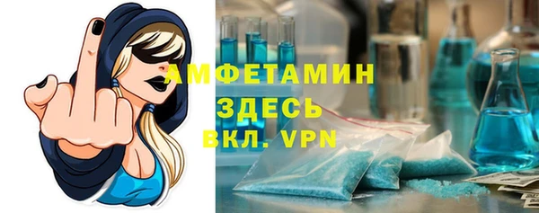 гидра Каменногорск