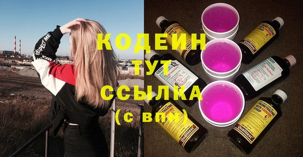 гидра Каменногорск