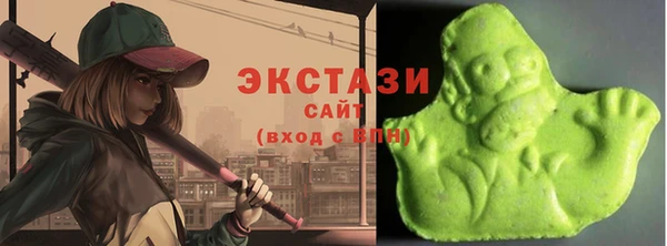 гидра Каменногорск