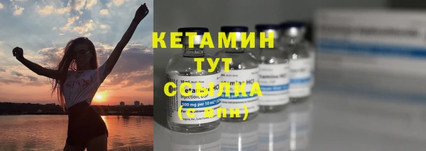 гидра Каменногорск