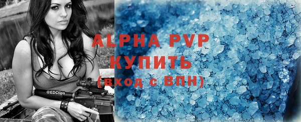 гидра Каменногорск