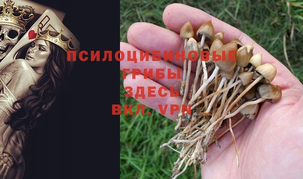 альфа пвп Каменка