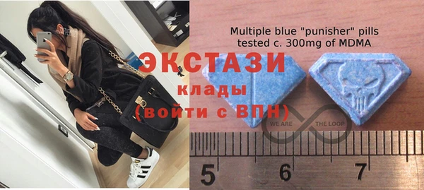 гидра Каменногорск