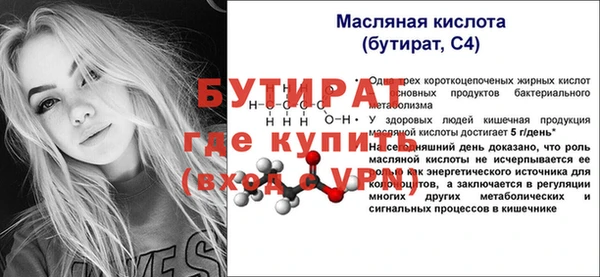 гидра Каменногорск